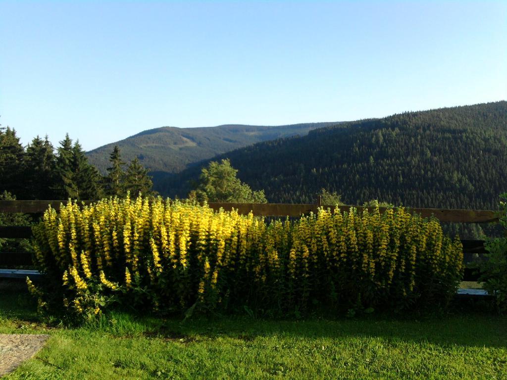 Penzion Kobr Pec pod Sněžkou Buitenkant foto